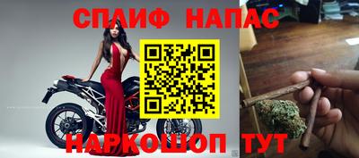 сатива Бузулук