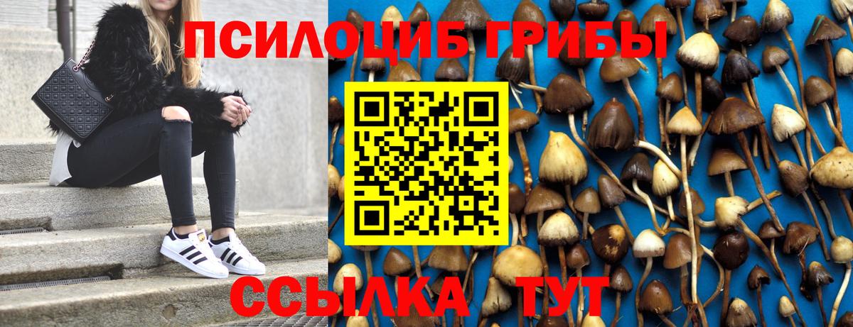 Нижний Новгород  Галлюциногенные грибы MAGIC MUSHROOMS  Вход с VPN 