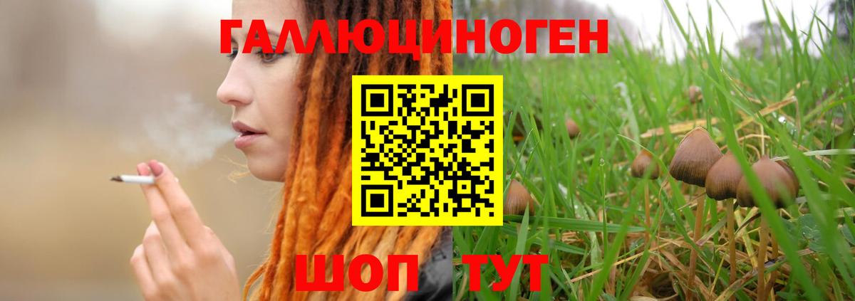 Псилоцибиновые грибы ЛСД Нижний Новгород